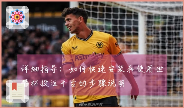 详细指导：如何快速安装和使用世界杯投注平台的步骤说明