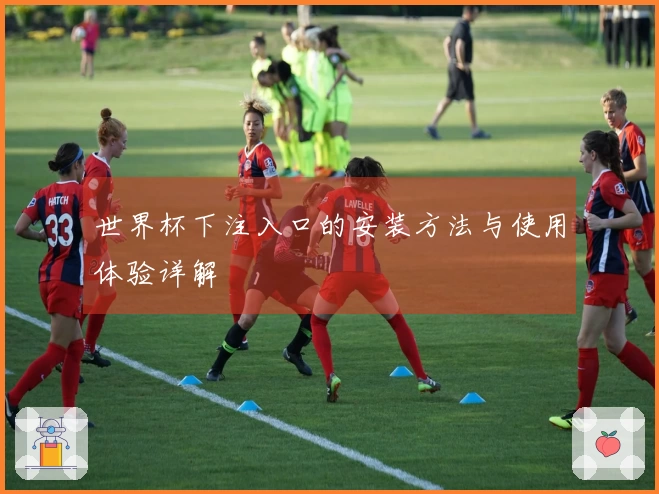 世界杯下注入口的安装方法与使用体验详解