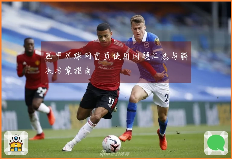 西甲买球网首页使用问题汇总与解决方案指南