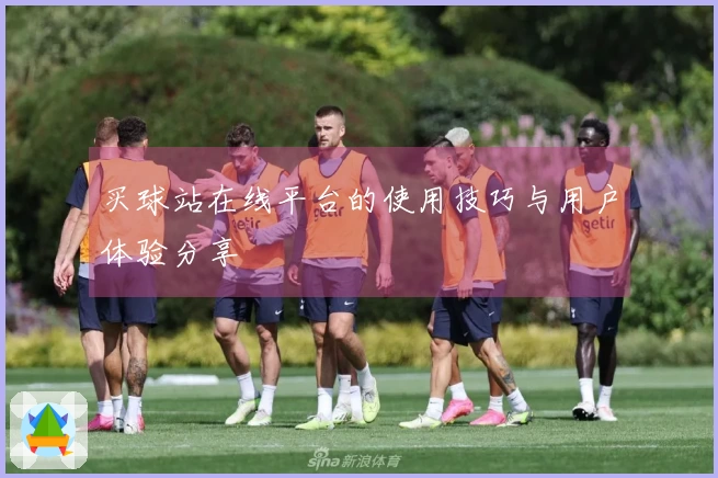 买球站在线平台的使用技巧与用户体验分享
