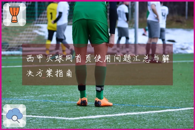 西甲买球网首页使用问题汇总与解决方案指南